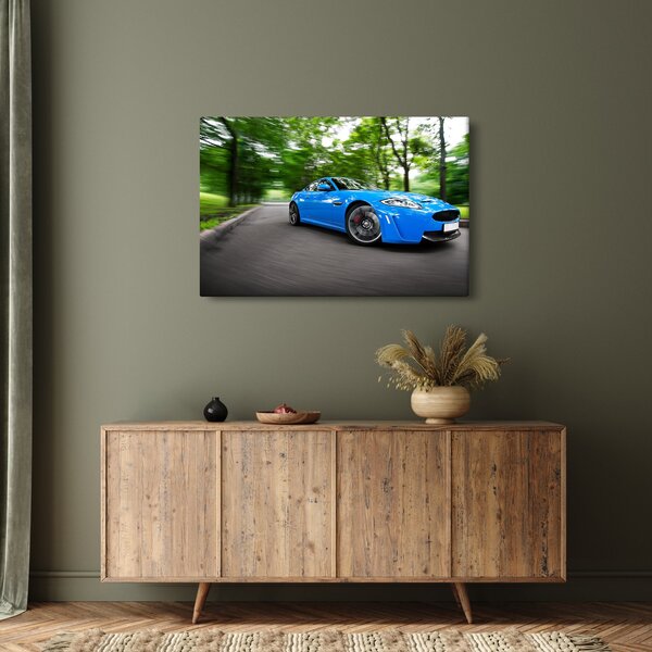 Slika - Trkaći automobil (90x60 cm)