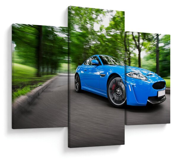 Slika - Trkaći automobil (90x60 cm)