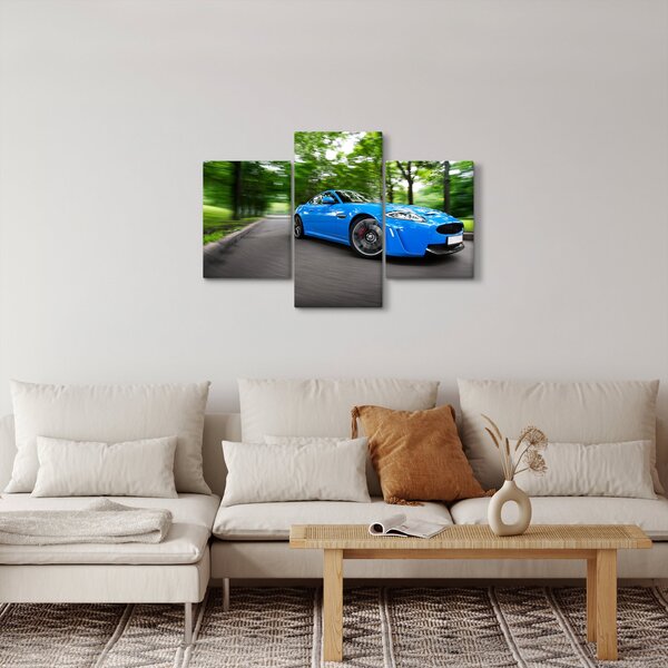 Slika - Trkaći automobil (90x60 cm)