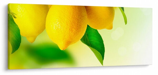 Slika limuna (120x50 cm)
