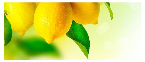 Slika limuna (120x50 cm)