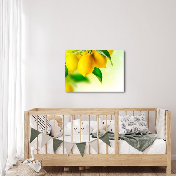 Slika limuna (70x50 cm)