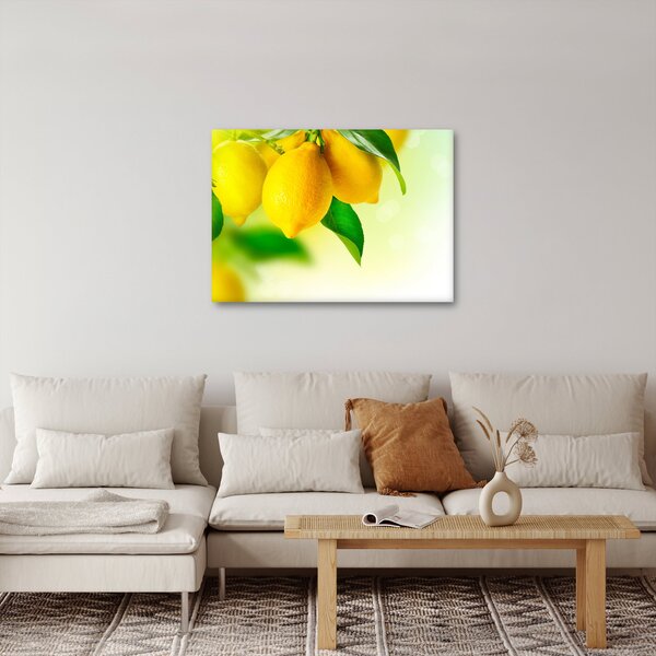 Slika limuna (70x50 cm)