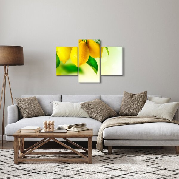 Slika limuna (90x60 cm)