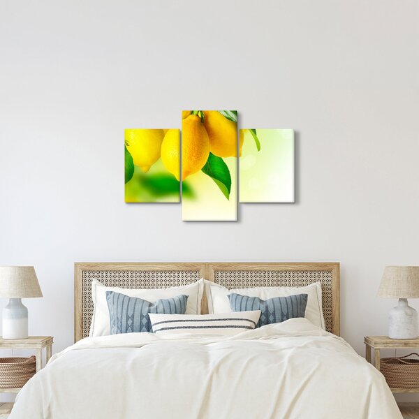 Slika limuna (90x60 cm)