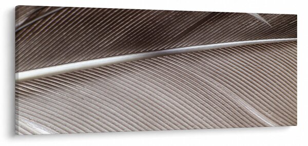 Apstraktna slika vlakana (120x50 cm)