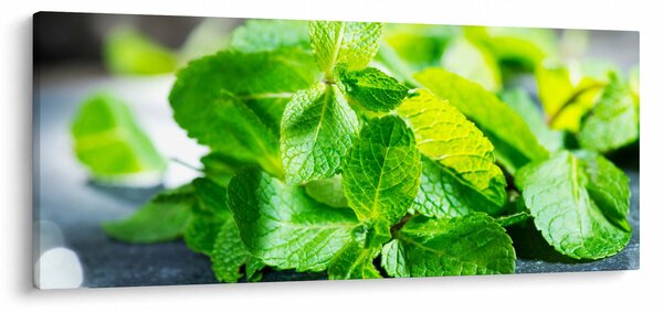 Slika metvice (120x50 cm)