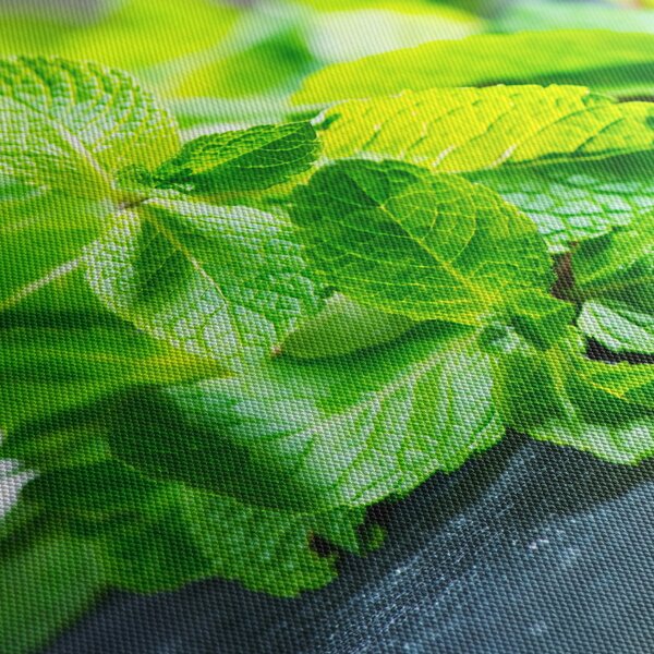 Slika metvice (120x50 cm)