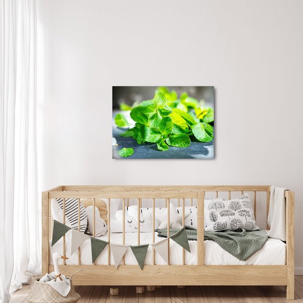 Slika metvice (70x50 cm)