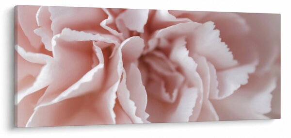 Slika - Detalj cvijeta (120x50 cm)