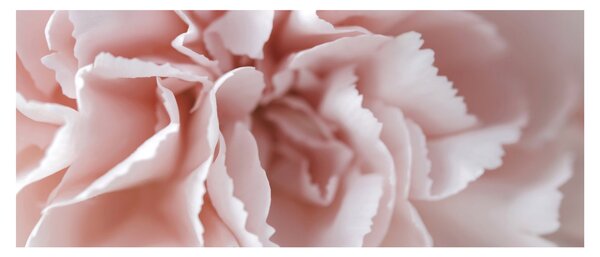 Slika - Detalj cvijeta (120x50 cm)