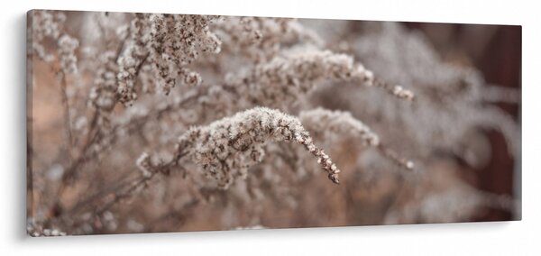 Slika biljaka (120x50 cm)
