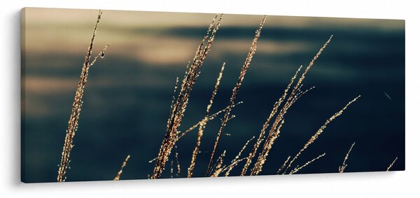 Slika trava (120x50 cm)