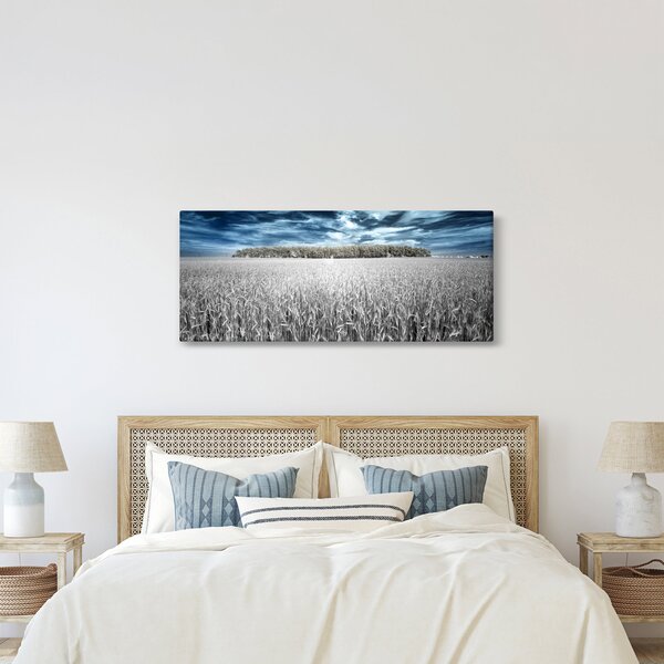 Slika polja (120x50 cm)
