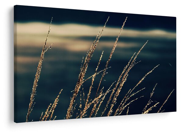 Slika trava (90x60 cm)