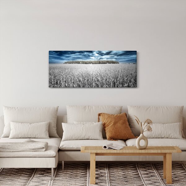 Slika polja (120x50 cm)