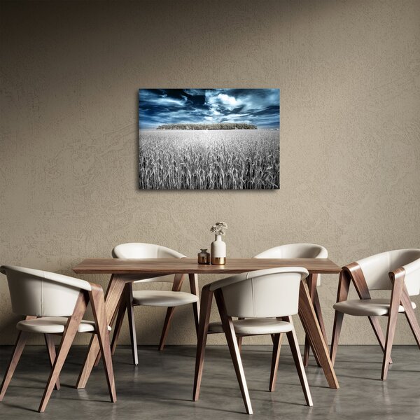 Slika polja (70x50 cm)