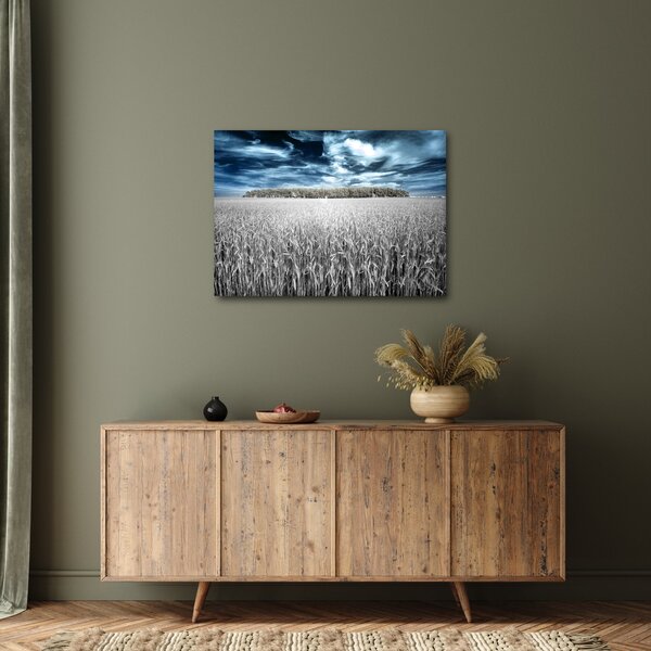 Slika polja (70x50 cm)