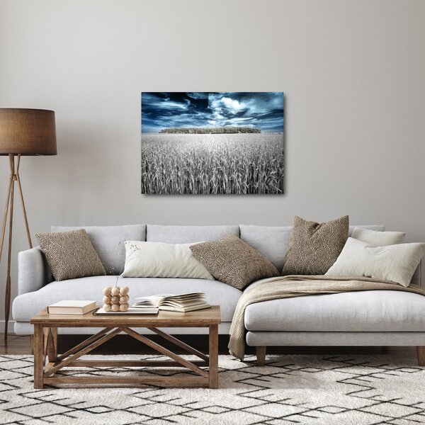 Slika polja (70x50 cm)