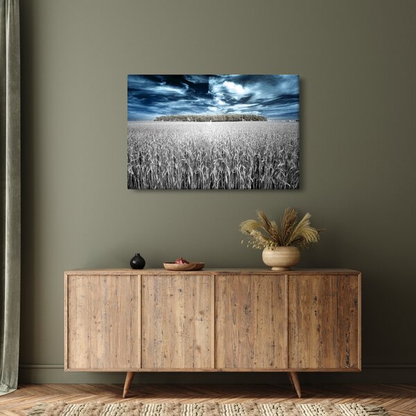 Slika polja (90x60 cm)