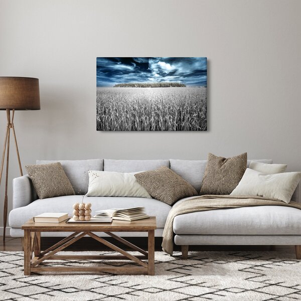 Slika polja (90x60 cm)