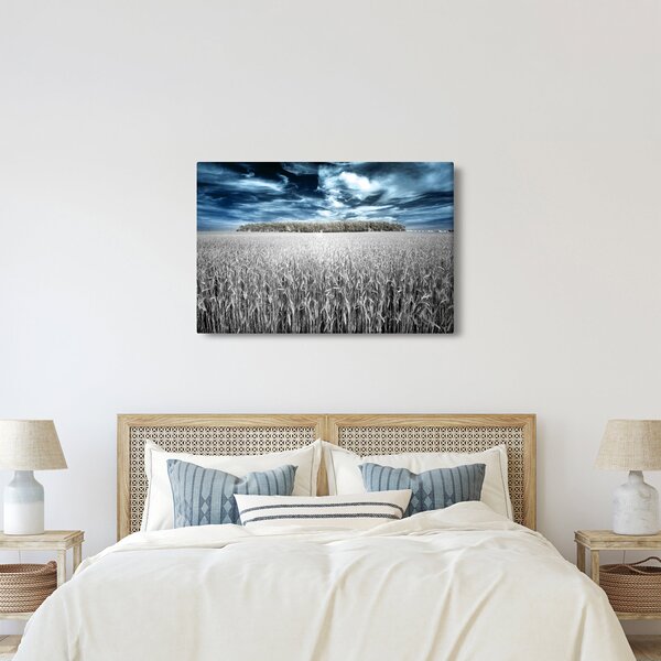 Slika polja (90x60 cm)