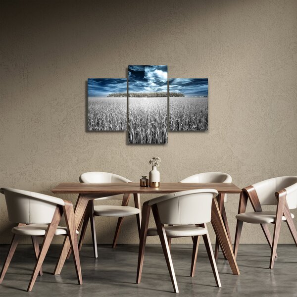 Slika polja (90x60 cm)