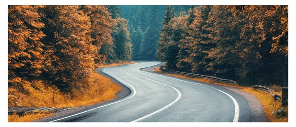 Slika - Vijugava cesta (120x50 cm)