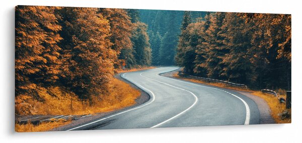Slika - Vijugava cesta (120x50 cm)