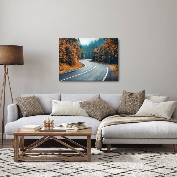 Slika - Vijugava cesta (70x50 cm)