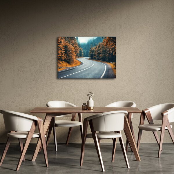 Slika - Vijugava cesta (70x50 cm)
