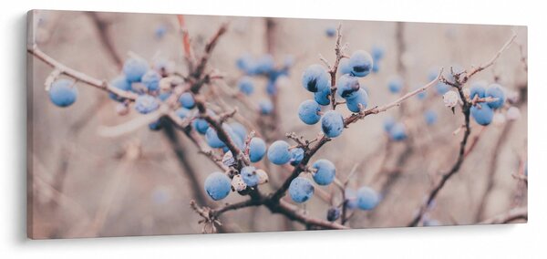 Slika bobica na grmu (120x50 cm)