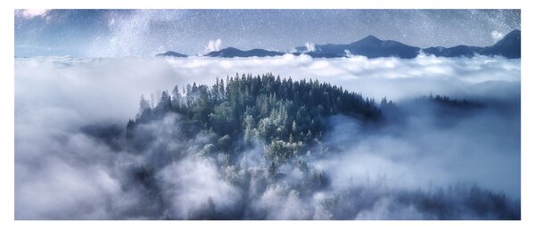 Slika šume u magli (120x50 cm)