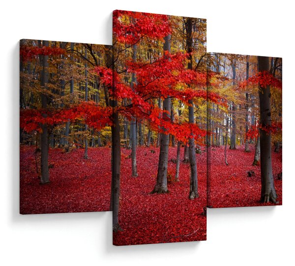 Slika - Rdeči gozd (90x60 cm)