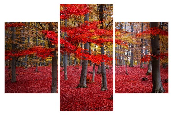 Slika - Rdeči gozd (90x60 cm)