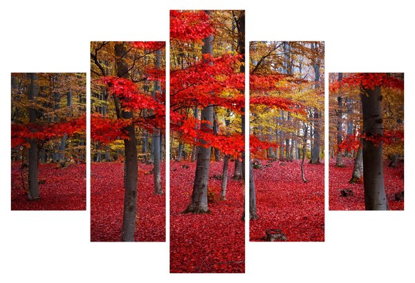 Slika - Rdeči gozd (150x105 cm)