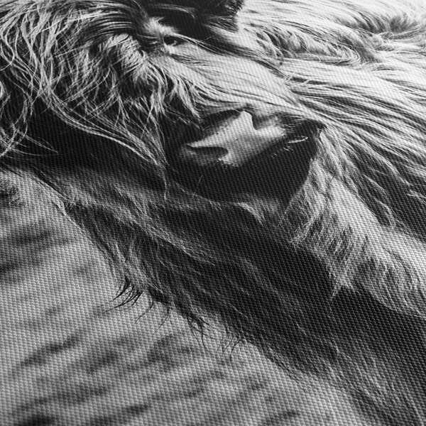 Slika - Highland - Škotska krava (90x60 cm)
