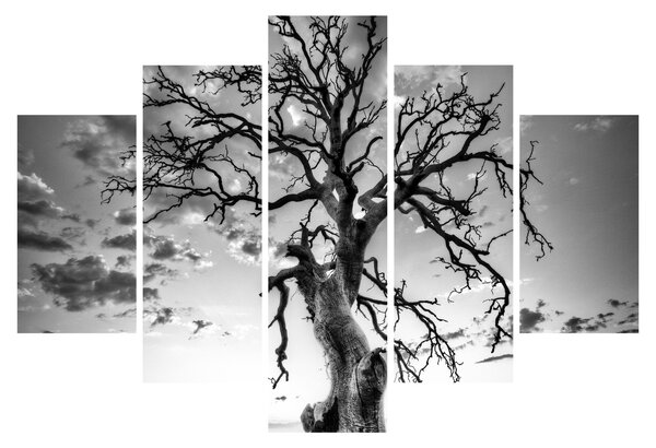 Slika - Črno-belo drevo (150x105 cm)