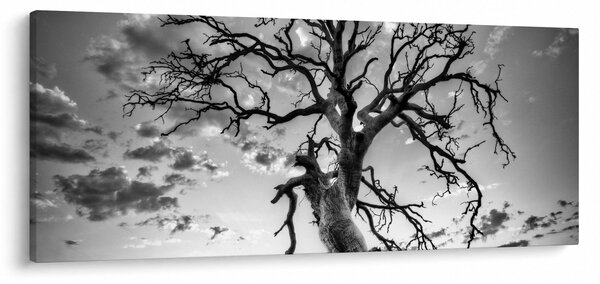 Slika - Črno-belo drevo (120x50 cm)
