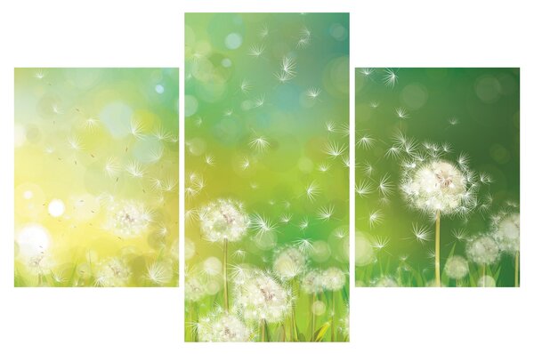 Slika - Odcveteli regrat (90x60 cm)