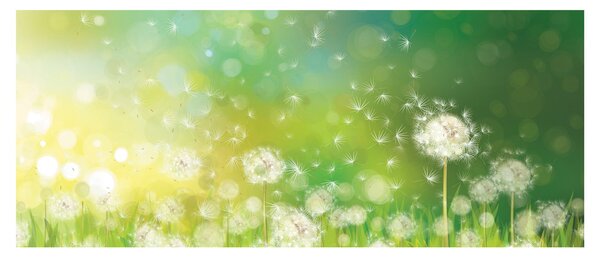 Slika - Odcveteli regrat (120x50 cm)