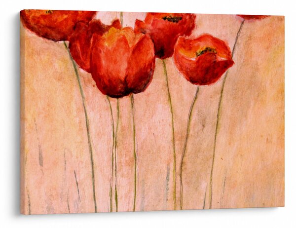 Slika - Rdeči tulipani (70x50 cm)
