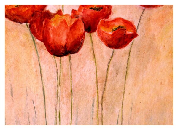 Slika - Rdeči tulipani (70x50 cm)
