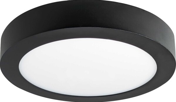 LED Stropna svjetiljka FENIX LED/18W/230V 2800K pr. 22,5 cm