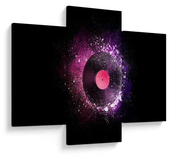 Slika - Vinilna plošča v roza-vijolični barvi (90x60 cm)