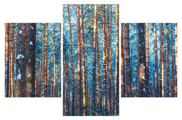 Slika - Zimski gozd (90x60 cm)