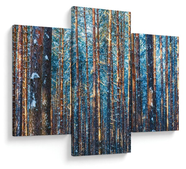 Slika - Zimski gozd (90x60 cm)