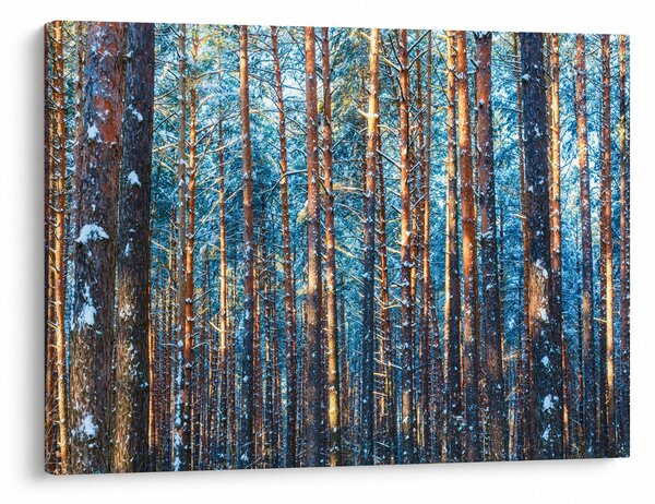 Slika - Zimski gozd (70x50 cm)