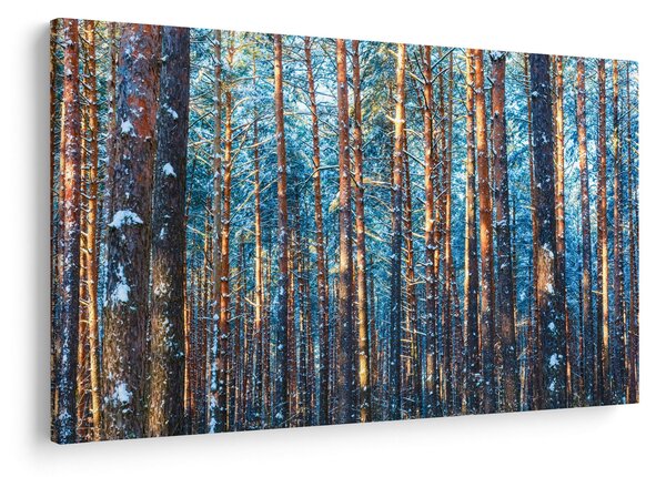Slika - Zimski gozd (90x60 cm)