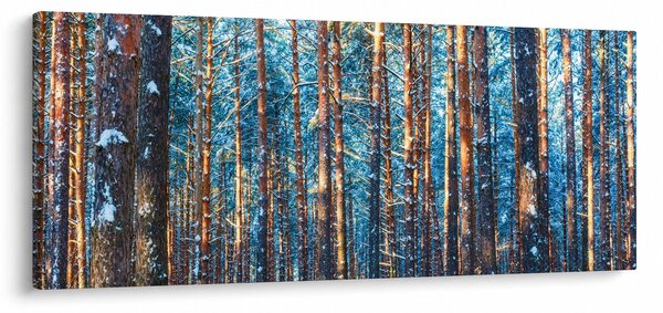 Slika - Zimski gozd (120x50 cm)